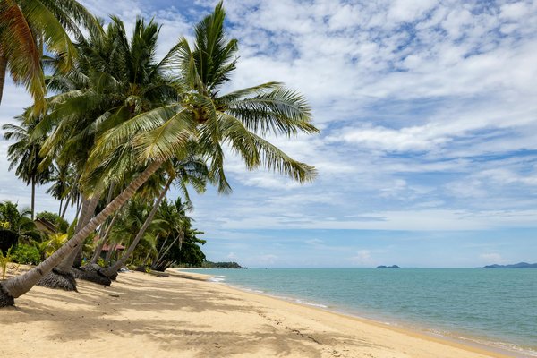 Comparatif des city pass : trouvez le meilleur pour vous